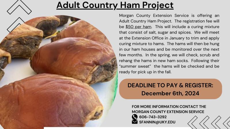 Adult Country Ham Project Flyer