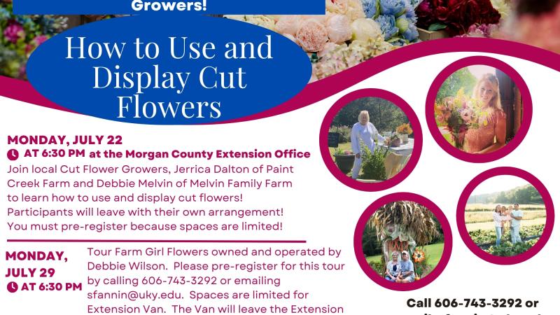 how to use and display cut flowers flyer